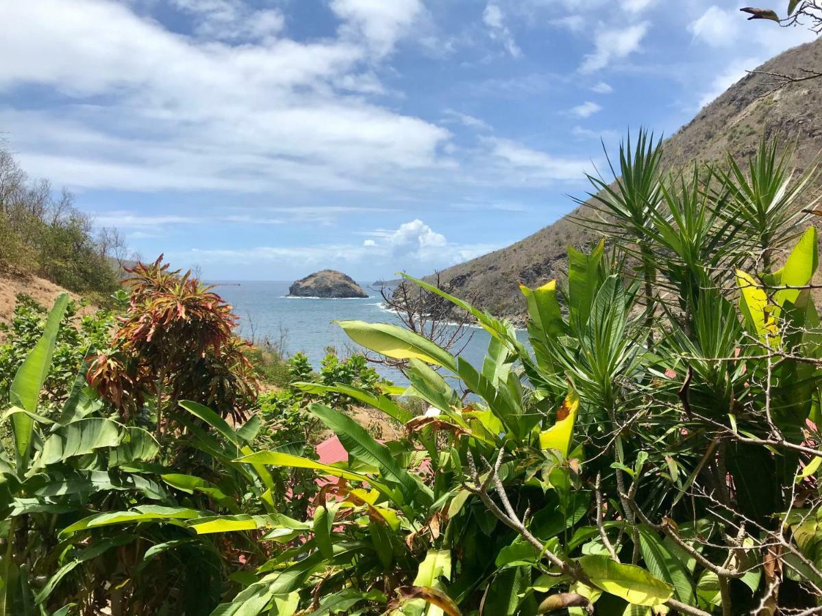 Villa Figues Et Mangos Terre-De-Haut Bagian luar foto