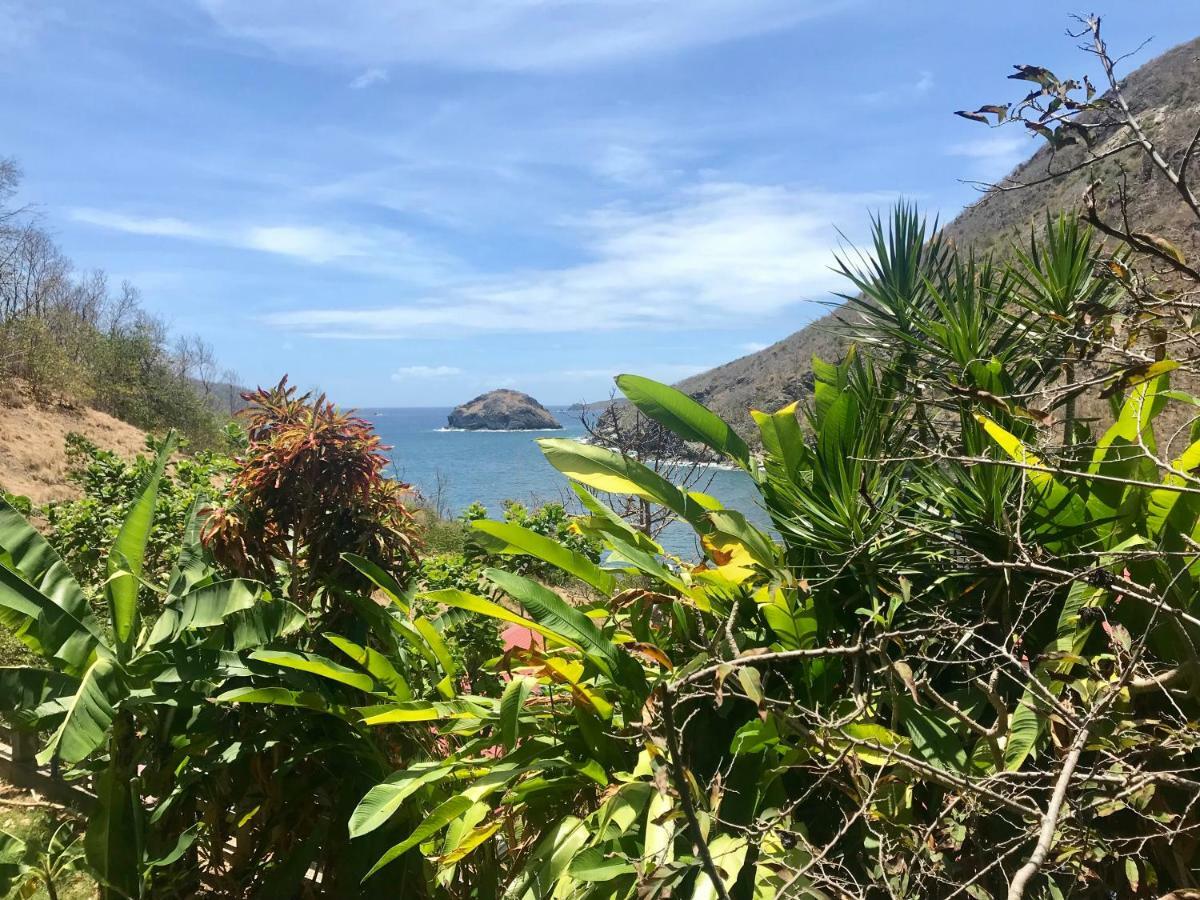 Villa Figues Et Mangos Terre-De-Haut Bagian luar foto